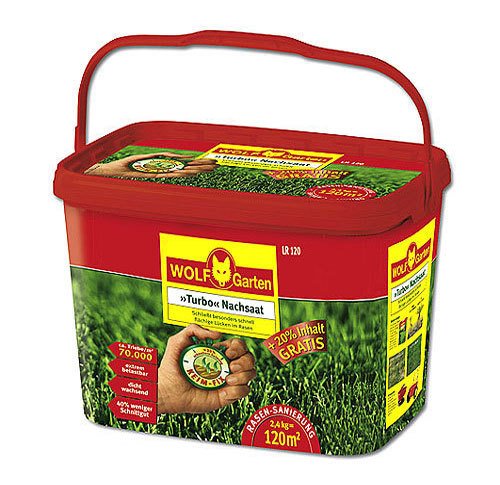 Rasensamen im Test: Der beste Samen für einen grünen und gesunden Rasen